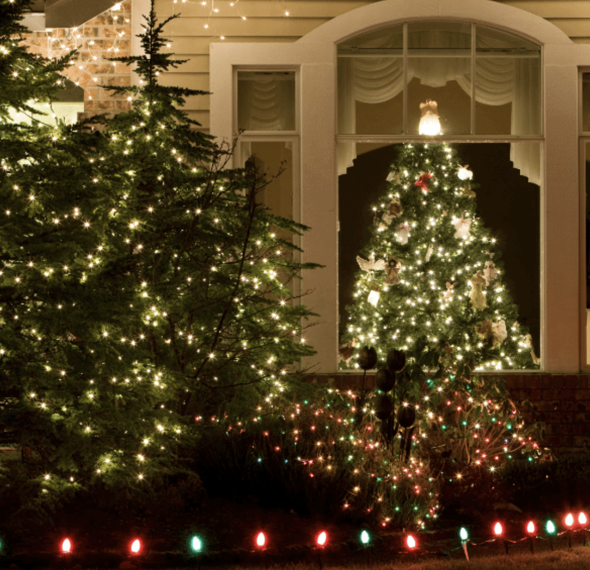 holiday lights