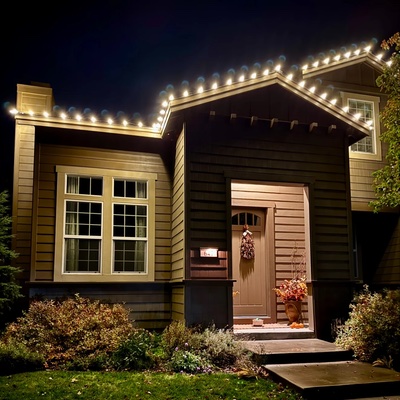 holiday lights home