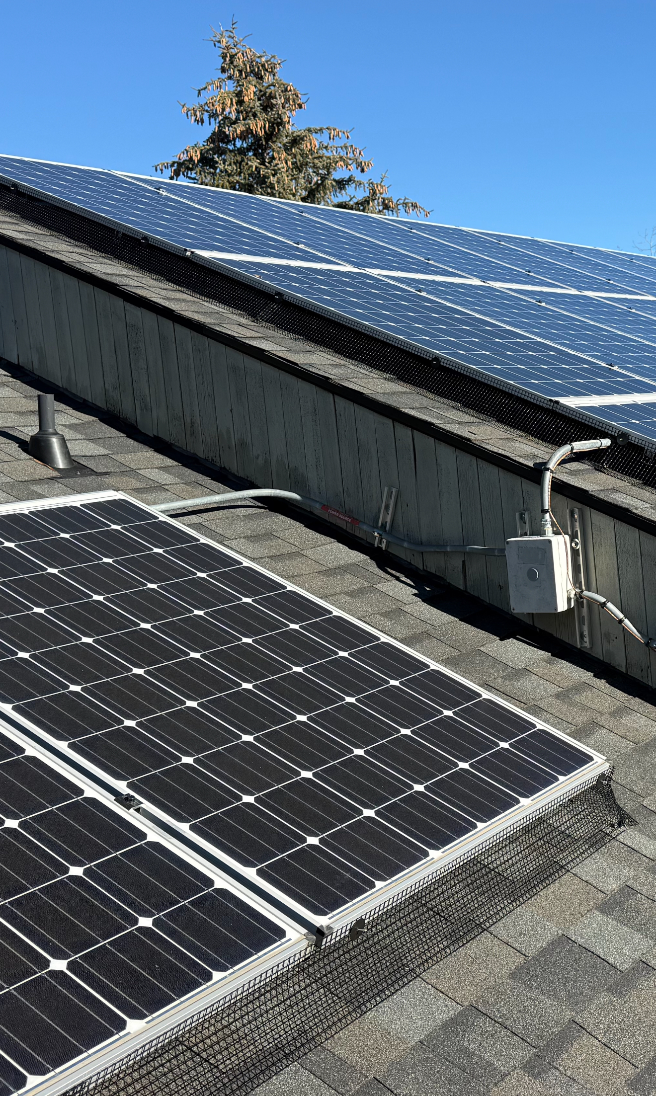solar panles critter quard
