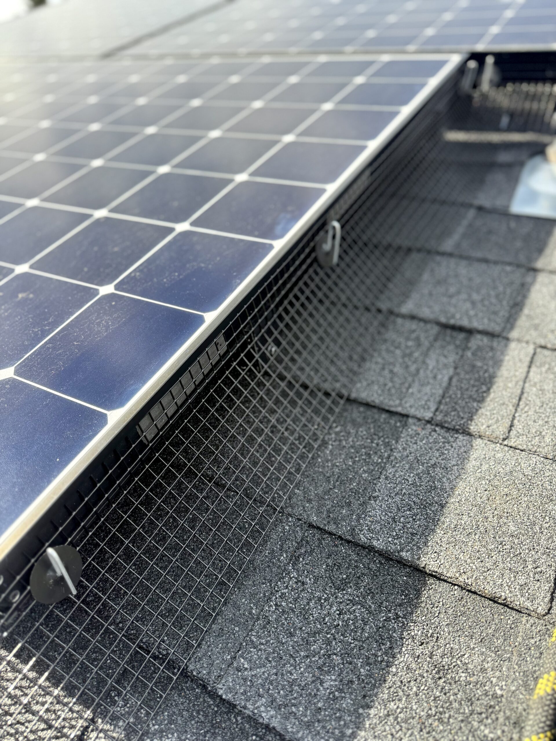 Bird Proofing Solar Panels in Central Oregon