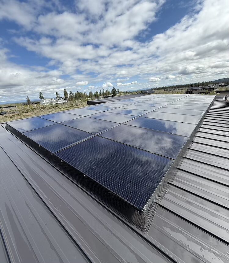 No more pigeons are getting under these panels