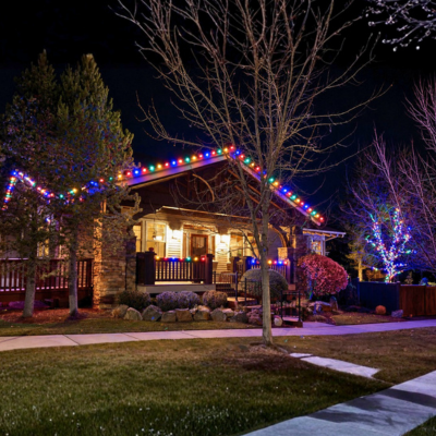 colorful-trees-home-holiday-lighting-example