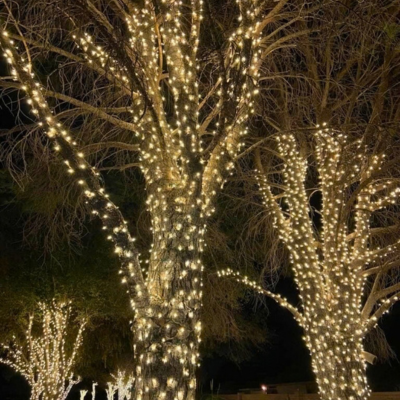 tree-wrapped-holiday-lights